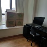 Piano mover